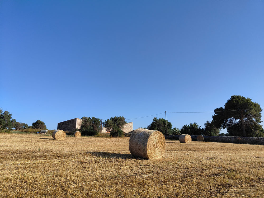 Azienda Torre Mastro Mole - Ragusa