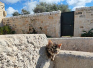 Azienda Torre Mastro Mole - Ragusa