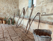 Azienda Torre Mastro Mole - Ragusa