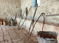 Azienda Torre Mastro Mole - Ragusa