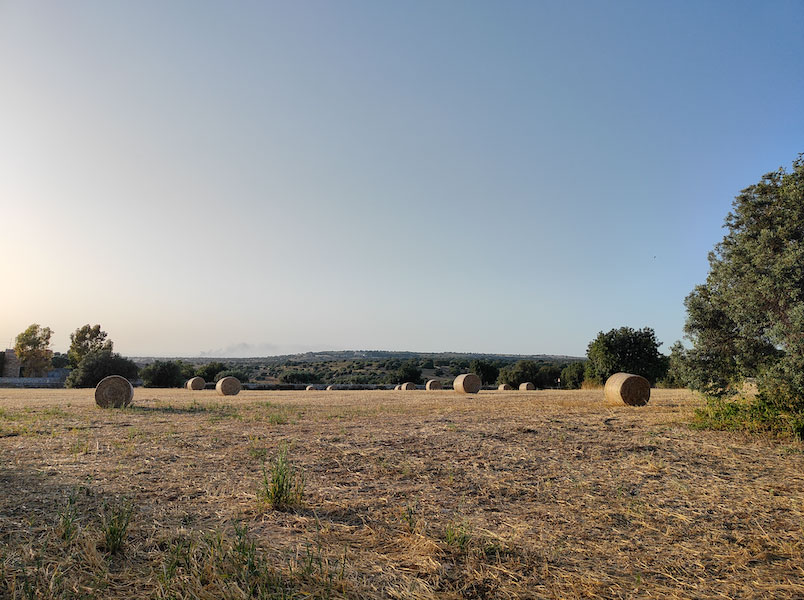 Azienda Torre Mastro Mole - Ragusa