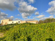 Azienda Torre Mastro Mole - Ragusa